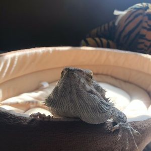 Meet your Posher, Ashlynn